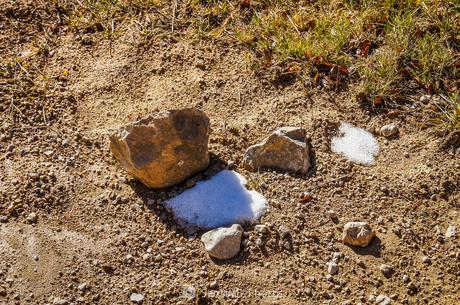 El frescor de la sombra