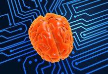 Los investigadores probaron recientemente los circuitos cerebrales implicados en la esquizofrenia