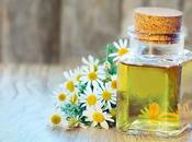 Oleatos hierbas flores, son, Cómo prepararlos utilizarlos