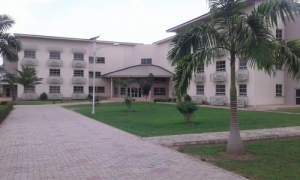 Diario De Una Migrante Venezolana. La Primera Impresión: Última Parte.