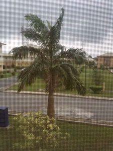 Diario De Una Migrante Venezolana. La Primera Impresión: Última Parte.