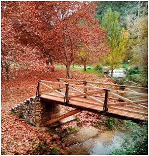 OTOÑO ESPECTACULAR EN EL AZUD DE TUÉJAR (VALENCIA)