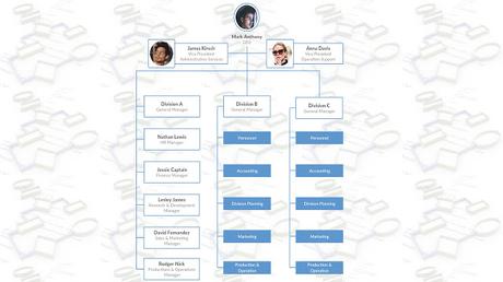 Estructura divisional