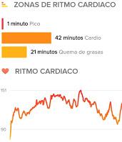 Zonas cardiacas