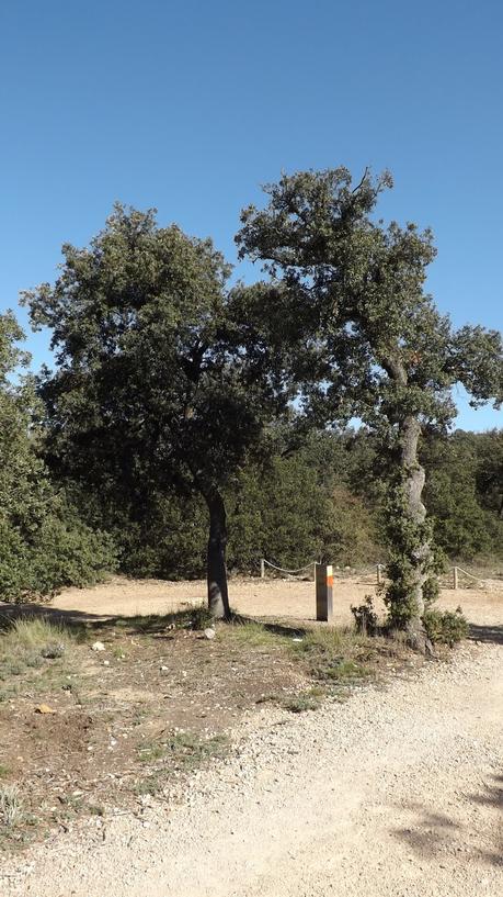 Parque Natural de la Font Roja