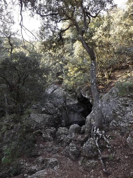 Parque Natural de la Font Roja