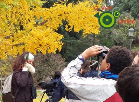 Los frutos del otoño/invierno en la ciudad