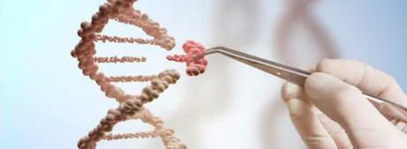 Ciencia Forense Inválida