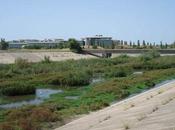 Emasesa licita ejecución corredor ecológico encauzamiento guadaíra, entorno sevilla hermanas