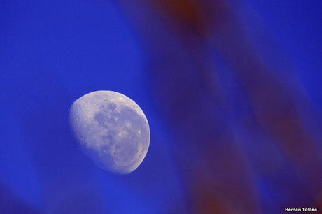 Por campos de Monte (junio de 2018)