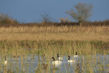 Por campos de Monte (junio de 2018)