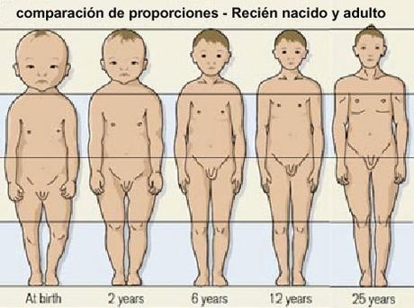 ¿Todos podemos llevar a nuestros hijos a contra marcha? ¿Cómo elegir silla a contra marcha?