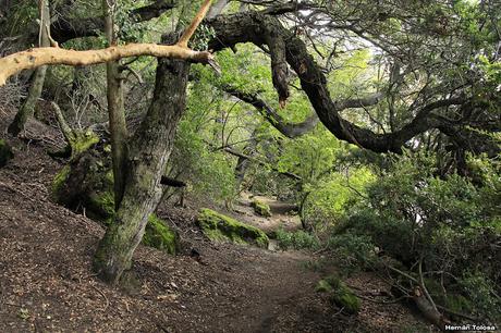 Ruta de los 7 lagos (octubre de 2018)