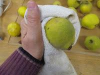 quitar pelusa de la piel