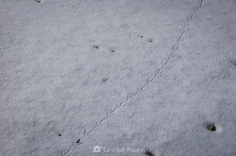 Travesía en solitario