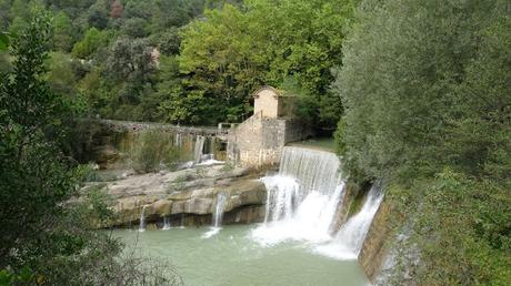 Camí de Pedret a Cal Rosal | El Berguedà