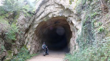 Camí de Pedret a Cal Rosal | El Berguedà