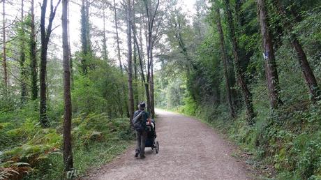 Camí de Pedret a Cal Rosal | El Berguedà