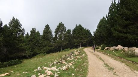 De Rasos de Peguera al despoblado de Peguera | El Berguedà De Rasos de Peguera al despoblado de Peguera | El Berguedà
