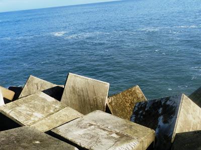 Llegan los correlimos oscuros