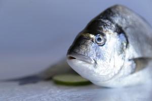 Qué pescados van bien para hacer al horno