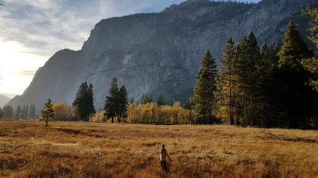 yosemite-paisaje