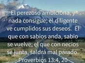 Diligencia