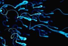 ¿Por qué su semen es acuoso? ¿Necesita ver a un médico sobre su eyaculación anormal? ¿Por qué su semen es acuoso? ¿Necesita ver a un médico sobre su eyaculación anormal?