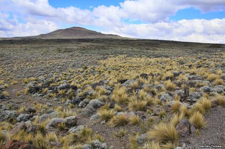 Parque Nacional Laguna Blanca (octubre de  2018)