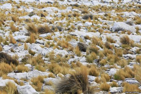 Parque Nacional Laguna Blanca (octubre de  2018)