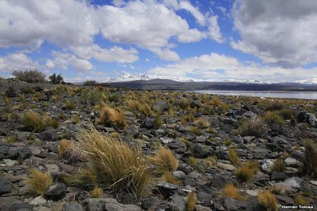 Parque Nacional Laguna Blanca (octubre de  2018)