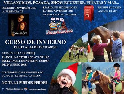 PRIMER CURSO DE INVIERNO “CHRISTMAS TIME DOMECQ”