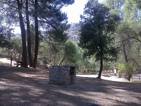 El bosque, fuente y forma de vida