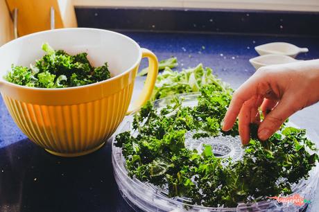 Chips de Kale