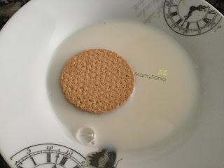 TRONCO DE NAVIDAD DE GALLETAS CON Y SIN GLUTEN EN THERMOMIX Y TRADICIONAL