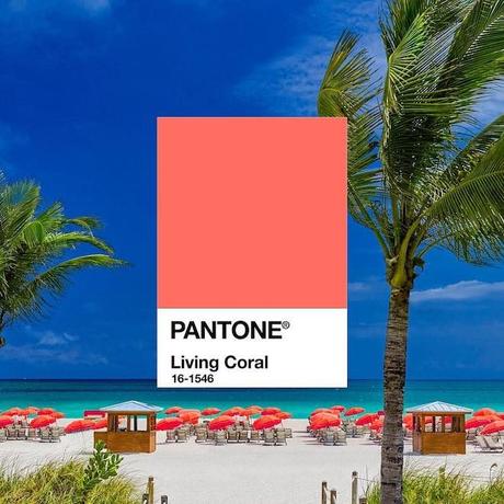 pantone living coral color 2019