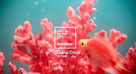 pantone color of the year 2019