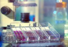 Una nueva investigación encuentra una manera de abordar las células cancerosas resistentes al tratamiento