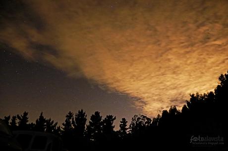 Las nubes se adentran en el bosque nocturno - Fotografía