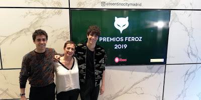 Finalistas a los premios Feroz 2019