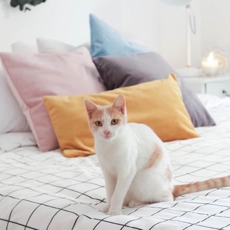 Nueva colección en BOHO DECO SHOP