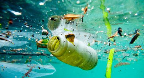 Biotecnología para eliminar el problema del plástico