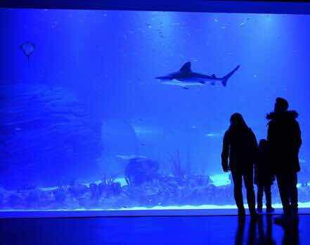 ATLANTIS AQUARIUM, ACUARIO INTERACTIVO BASADO EN EL CAMBIO CLIMÁTICO