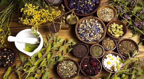 Tratamientos alternativos para la gastritis