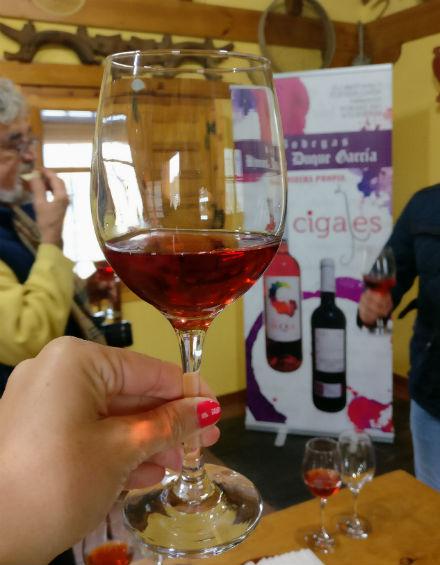 vino-rosado-cigales