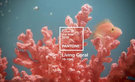 Pantone ya tiene color para el 2019: Living Coral