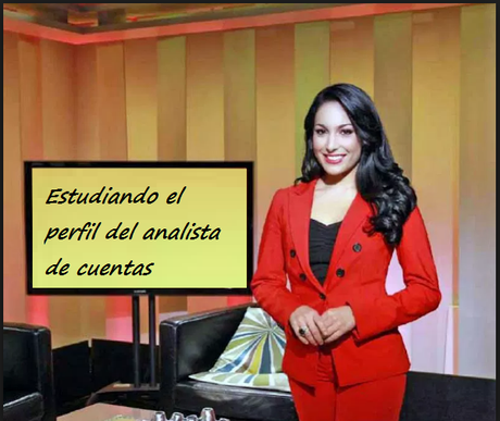 Sobre el perfil del analista de Cuentas Sobre el perfil del analista de Cuentas
