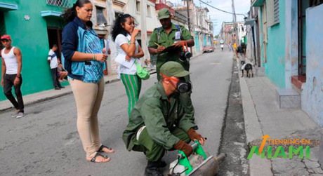 Alerta epidemiológica en Cuba por alta infestación de Aedes Aegipty