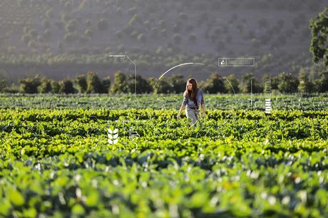 La inteligencia artificial acelera la solución de desafíos ambientales en la región