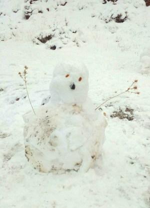 Haciendo muñecos de nieve: #MM